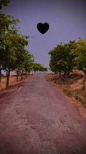 Aneesa