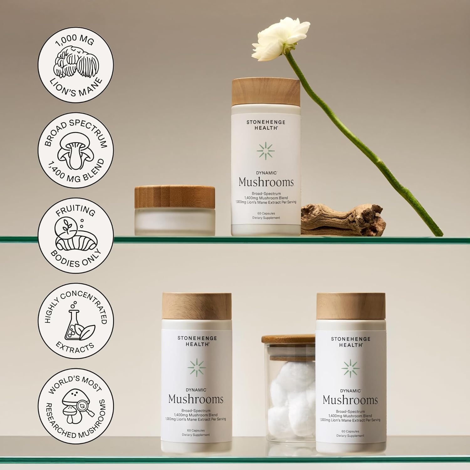 Stonehenge Dynamic Health Mushrooms 1,400 mg – 5 Mushroom Complex with Lion’s Ma