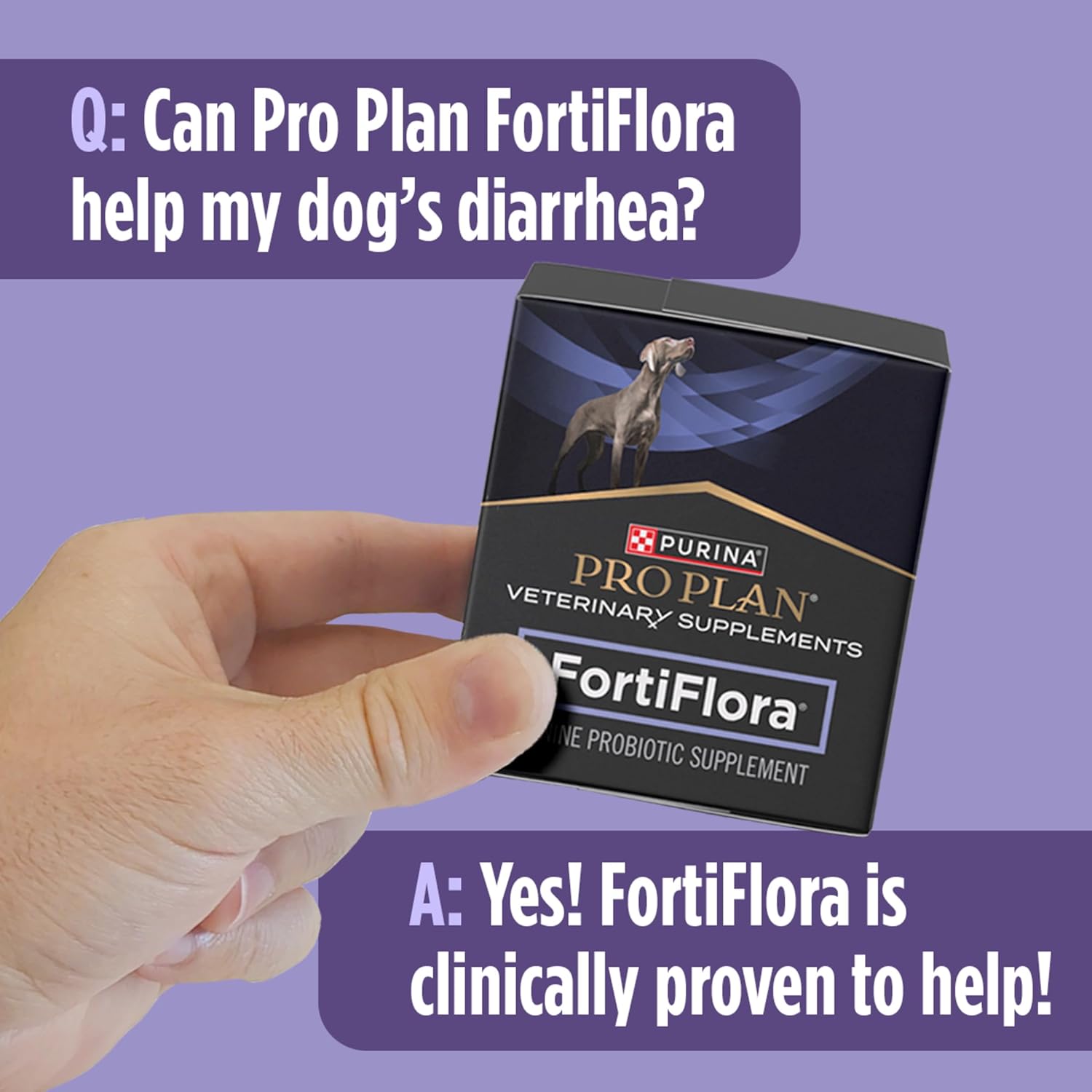 Purina Pro Plan Veterinary Supplements FortiFlora Canine Probiotics for Dogs – S