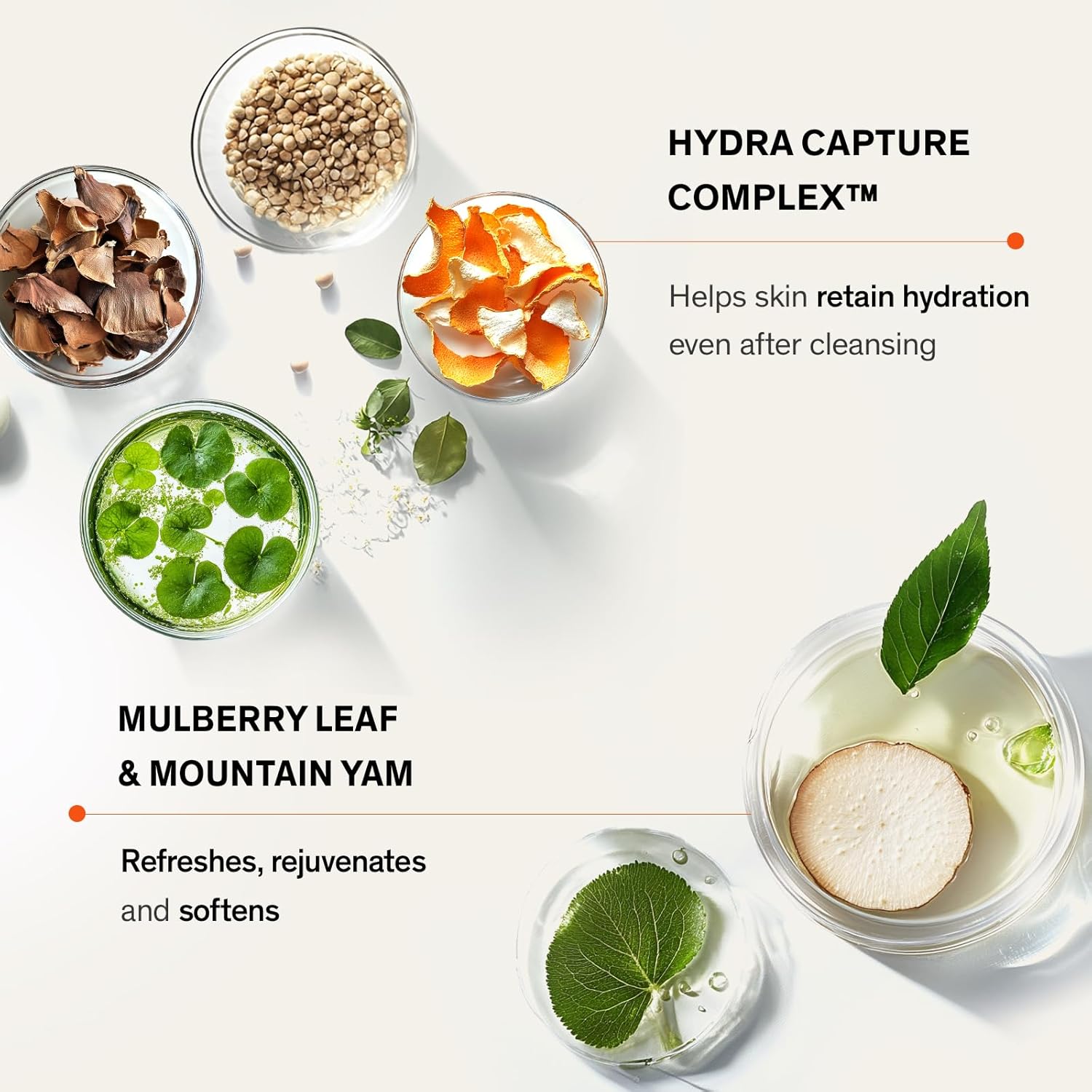 Sulwhasoo Gentle Cleansing Foam – Hydrating Gel-to-Foam Korean Face Wash with He