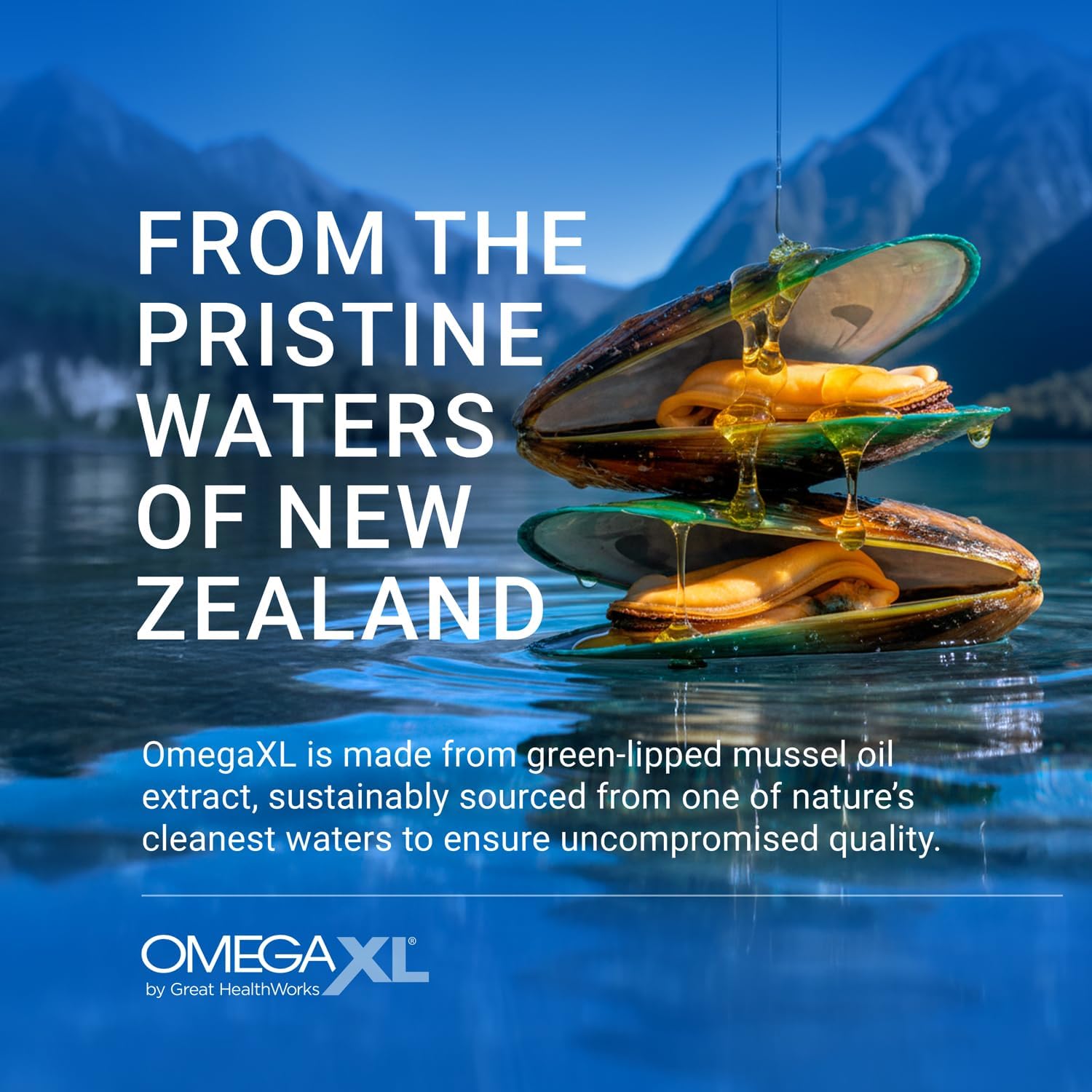 OmegaXL® Joint Support Supplement for Pain Relief | Natural Muscle & Joint Suppo