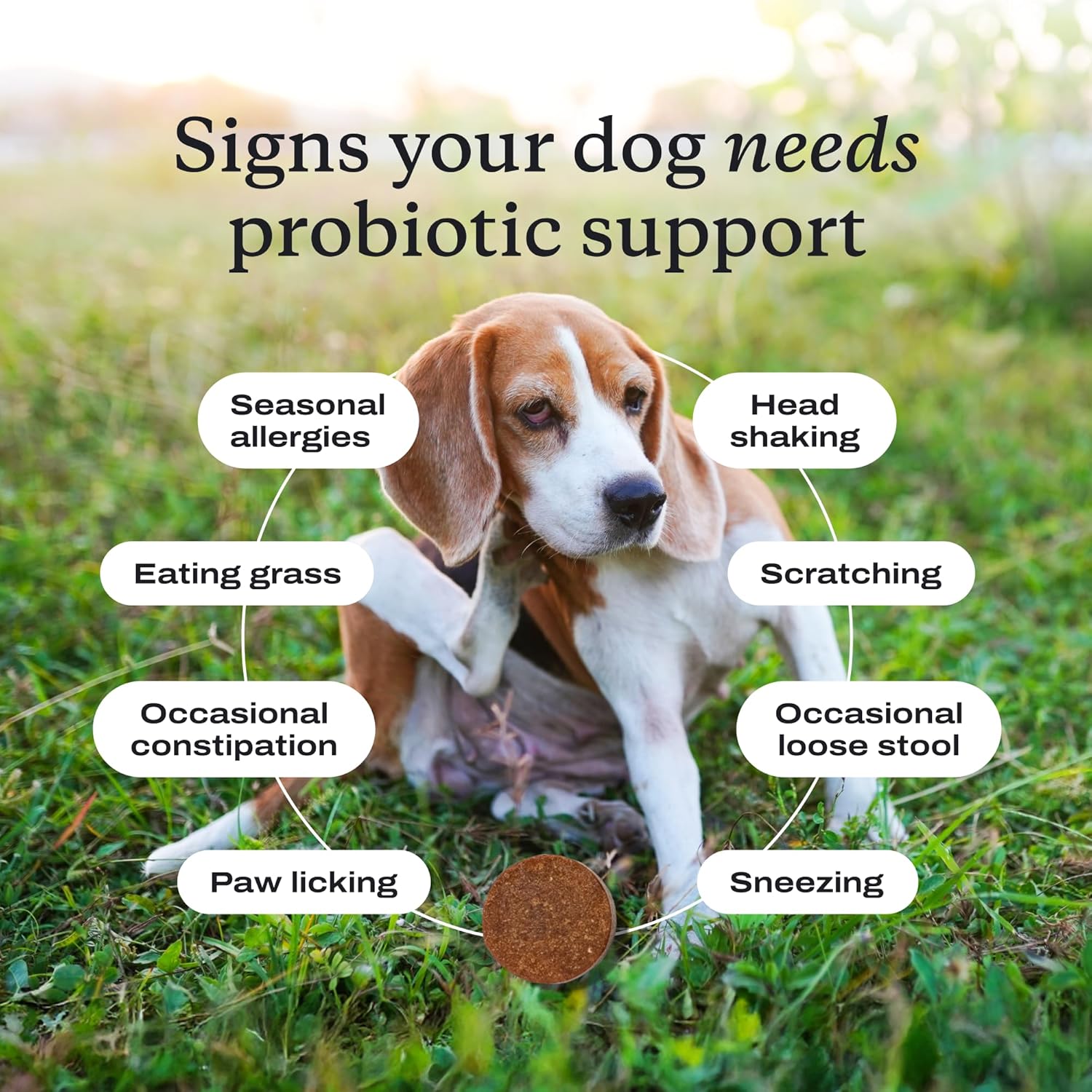 PetLab Co. Probiotics for Dogs – Digestive & Gut Health Support with Pork Flavor