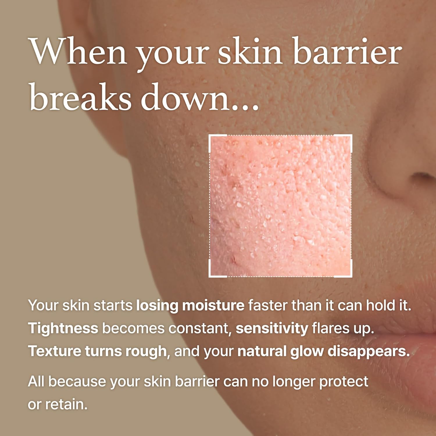 Rice Cream with Rice Bran Essence & Ceramide, 1.76 oz – Hydrating, Glowing Skin,