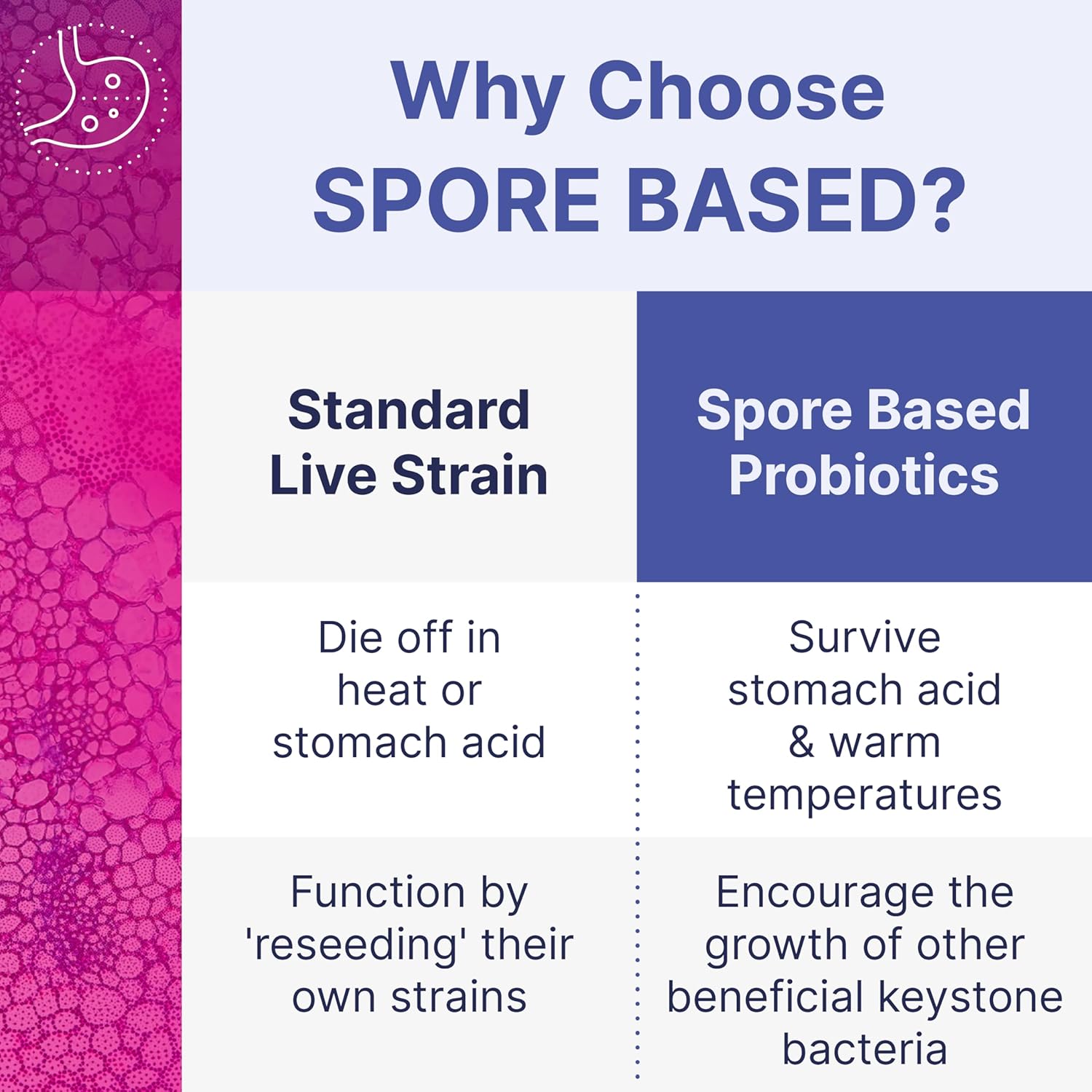 Microbiome Labs MegaSporeBiotic – Spore-Based Probiotics for Gut Health & Digest