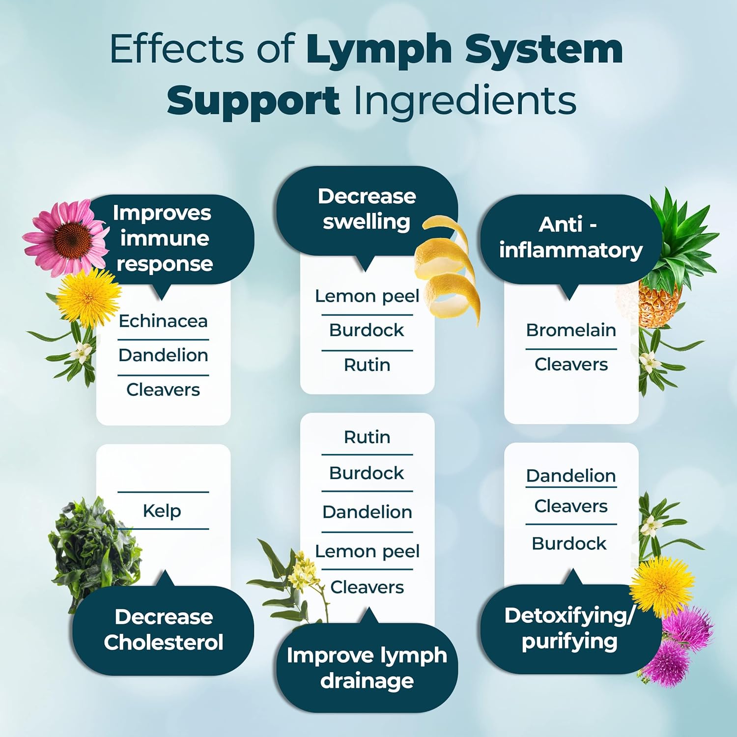 PUREHEALTH RESEARCH Lymph System Support – Lymphatic Drainage Supplement with Da