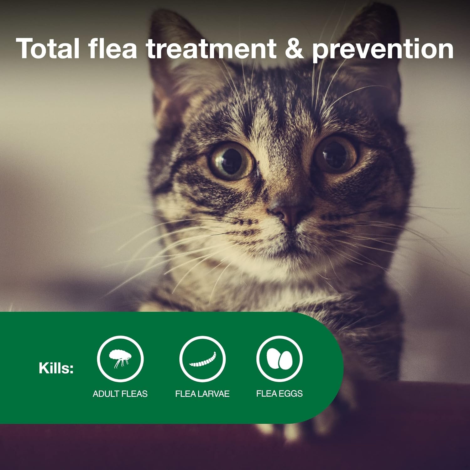 Advantage II Flea Treatment for Small Cats – Vet-Recommended, 6-Month Supply for
