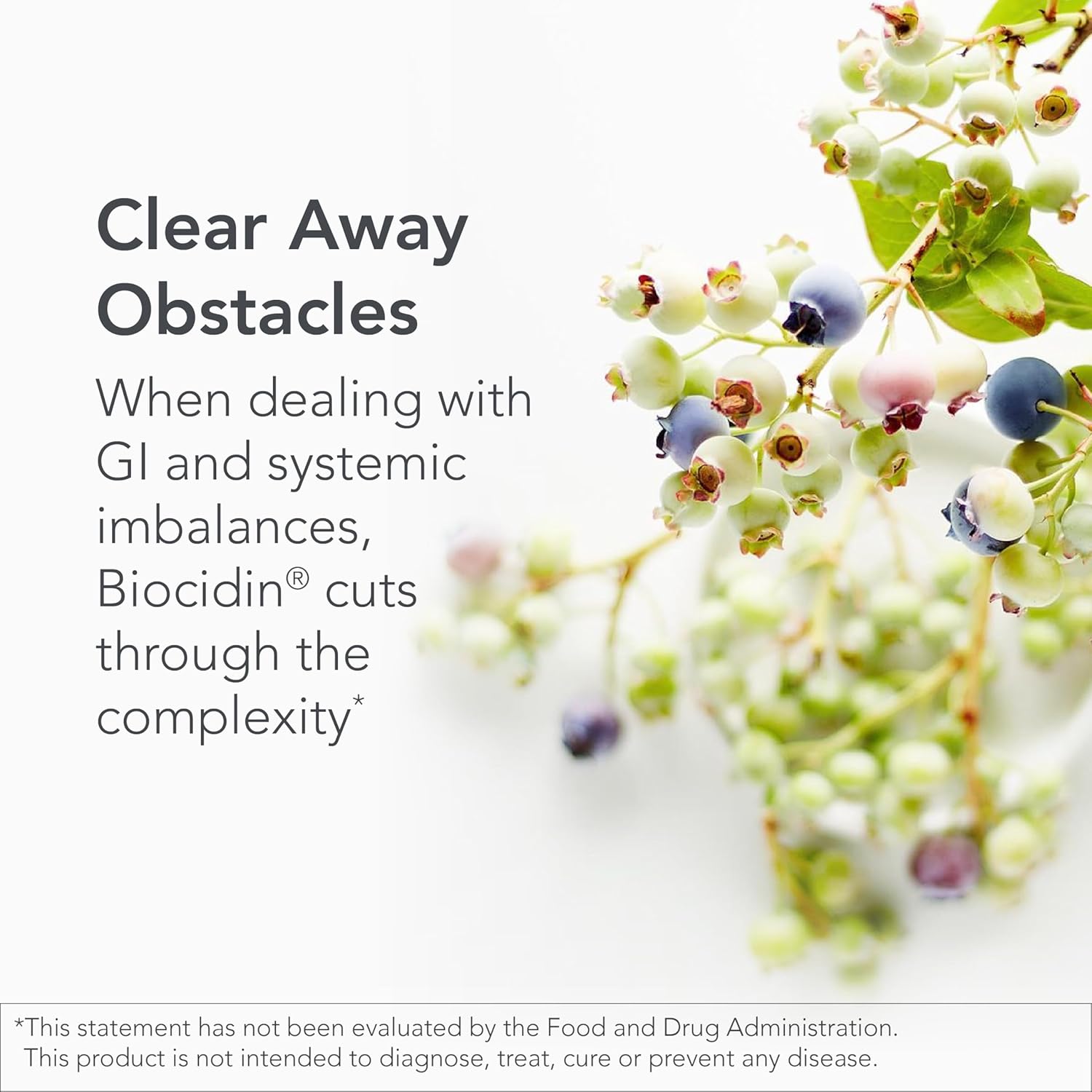 Biocidin Capsules – Professional-Grade Biofilm Disruptor for Gut Detox, Microbia