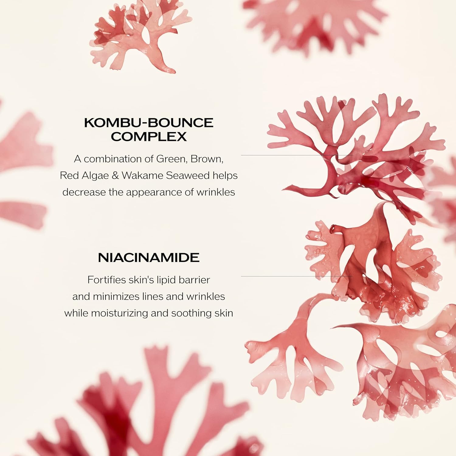 Shiseido Benefiance Wrinkle Smoothing Cream – Anti-Aging Moisturizer for Normal 