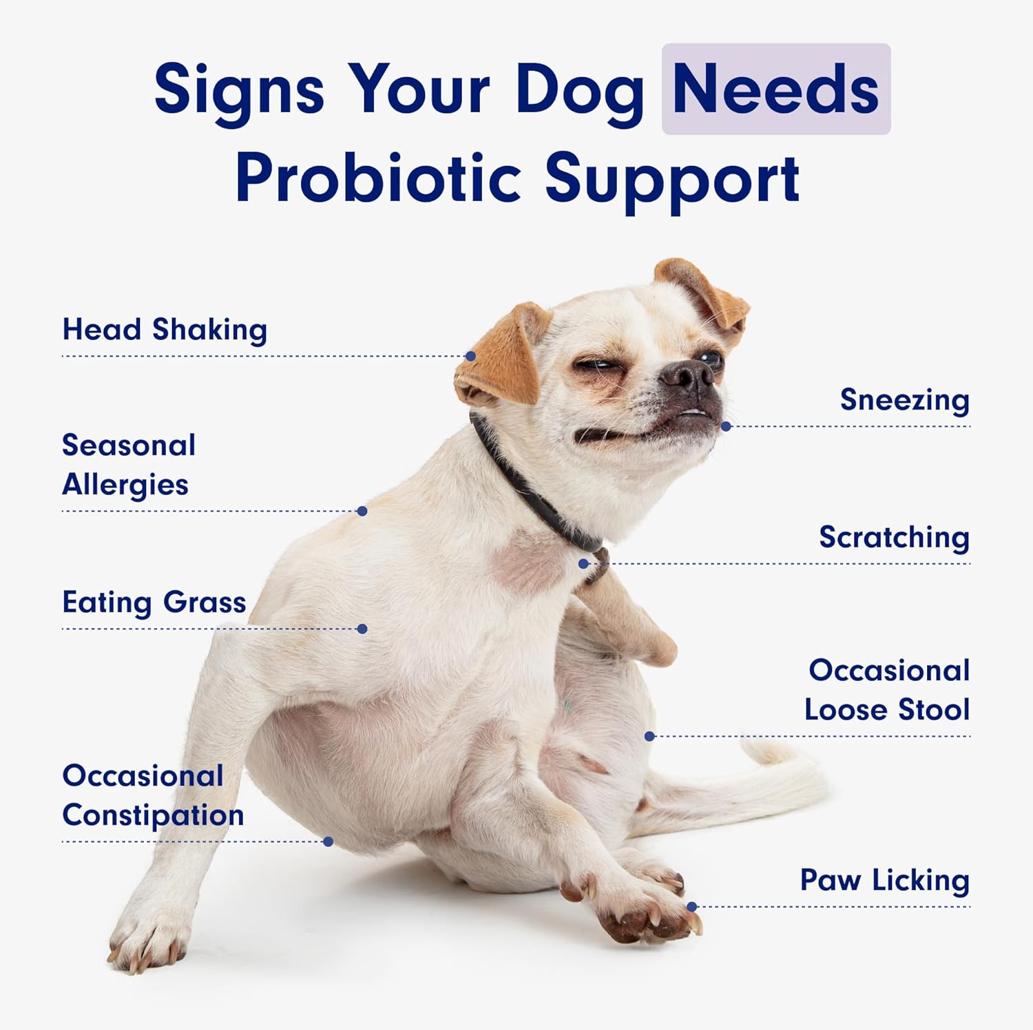 PetLab Co. Dog Probiotics Chews – Gut Health, Itchy Skin, Allergy & Yeast Support for Small, Medium & Large Dogs 119 g