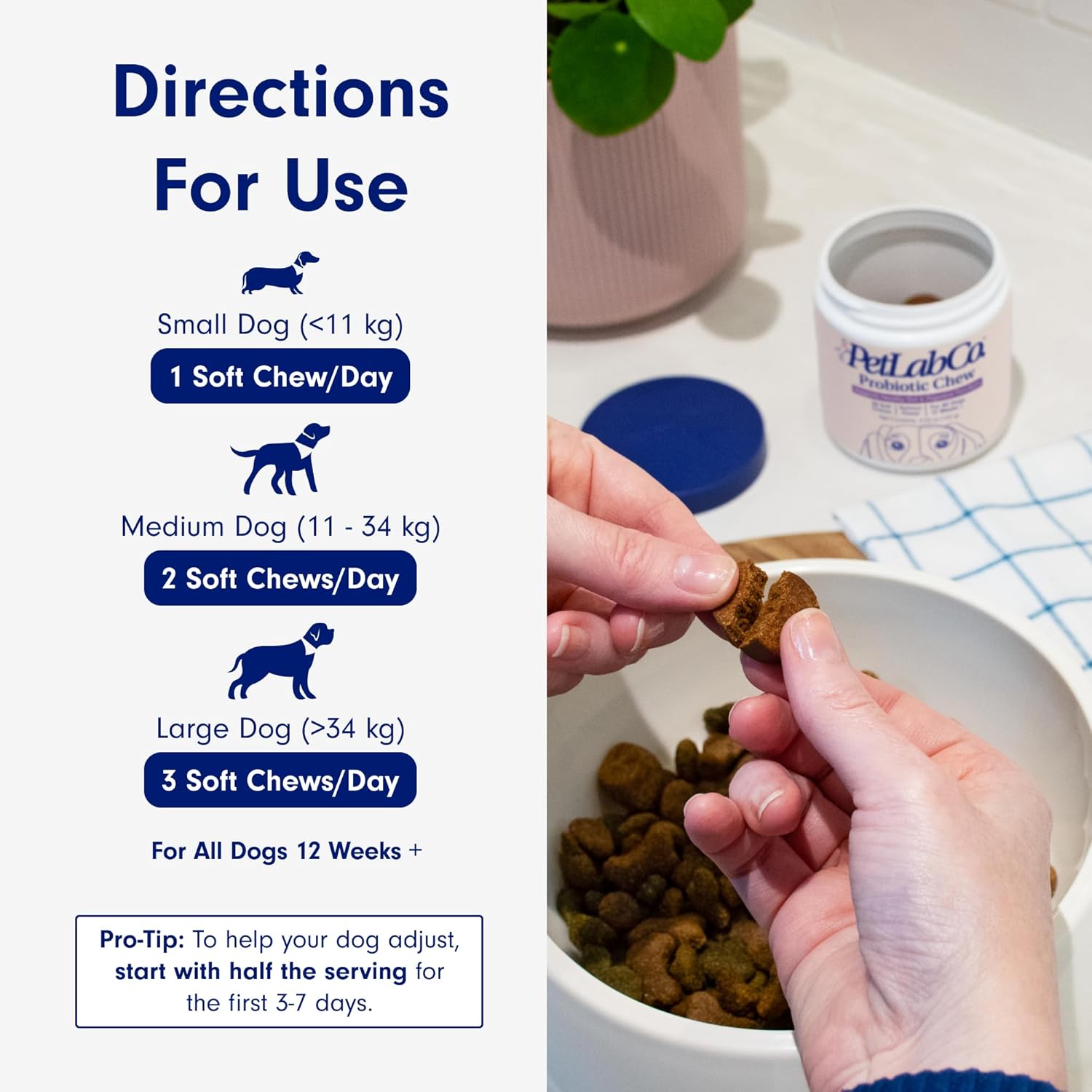 PetLab Co. Dog Probiotics Chews – Gut Health, Itchy Skin, Allergy & Yeast Support for Small, Medium & Large Dogs 119 g