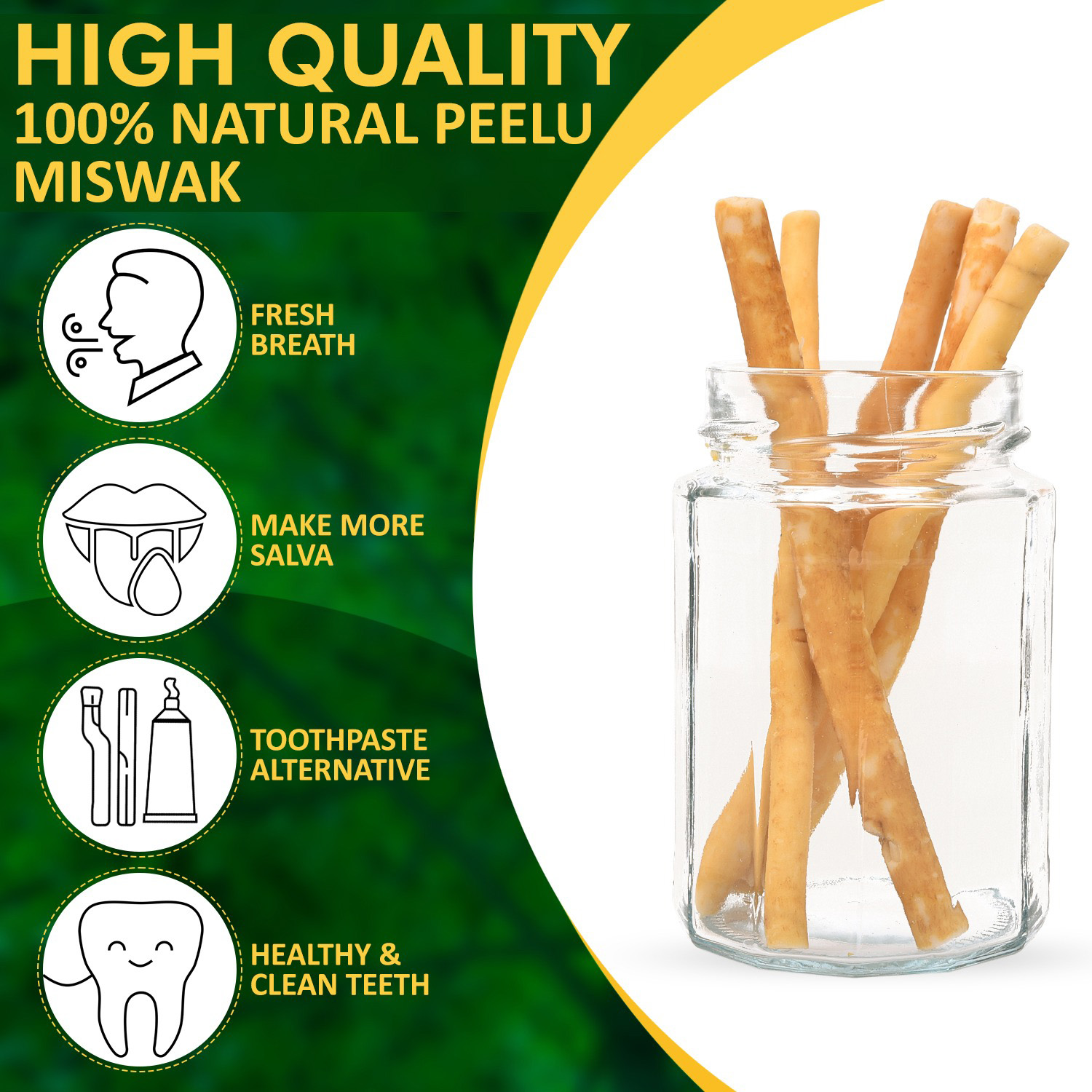 Miswak Sticks for Teeth (Pack of 10 with 2 Holders) Herbal Oral Care, No Toothpaste Needed – 100% Organic Chewing Sticks, Salvadora Persica (6 inch)